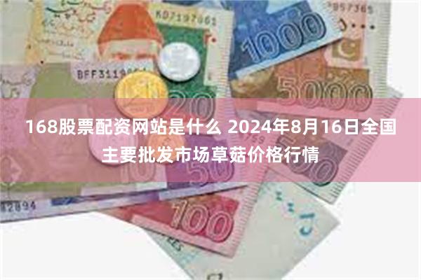 168股票配资网站是什么 2024年8月16日全国主要批发市场草菇价格行情