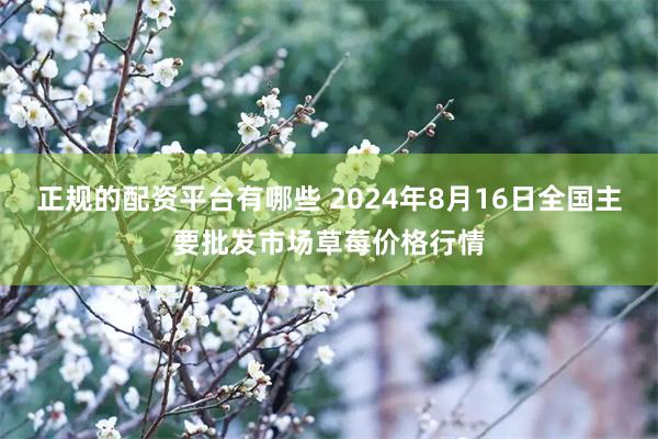 正规的配资平台有哪些 2024年8月16日全国主要批发市场草莓价格行情