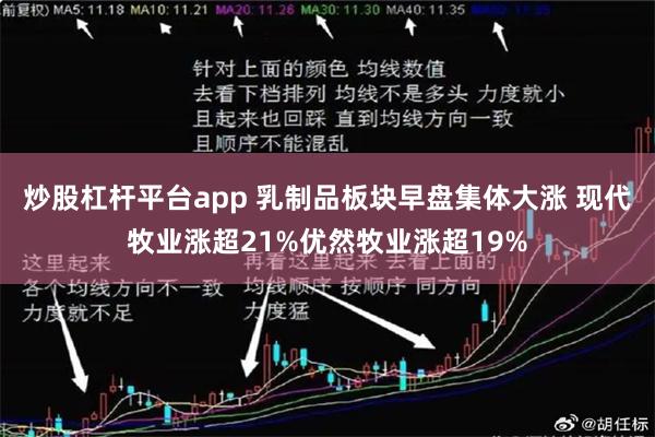 炒股杠杆平台app 乳制品板块早盘集体大涨 现代牧业涨超21%优然牧业涨超19%