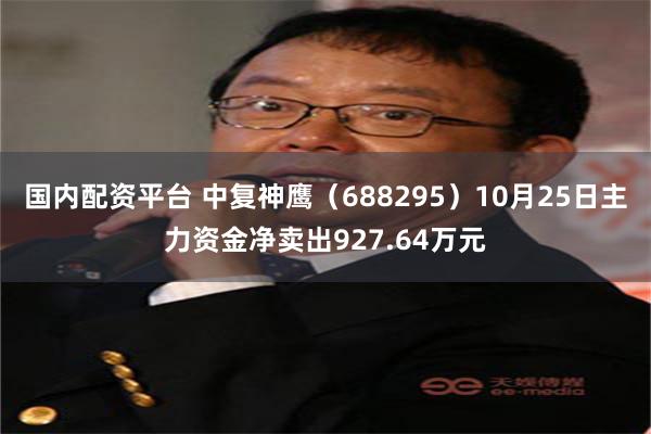 国内配资平台 中复神鹰（688295）10月25日主力资金净卖出927.64万元