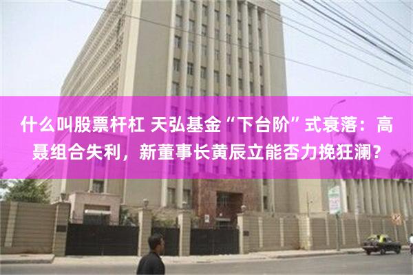 什么叫股票杆杠 天弘基金“下台阶”式衰落：高聂组合失利，新董事长黄辰立能否力挽狂澜？