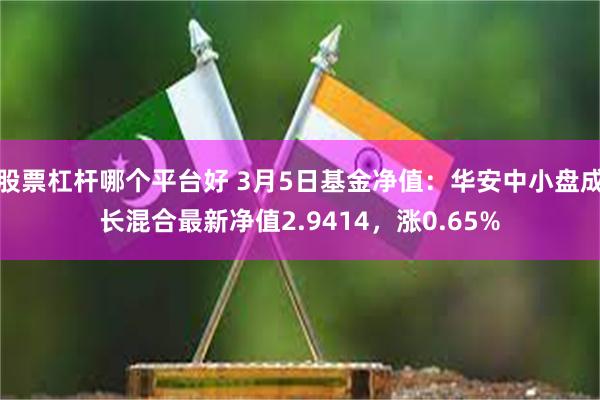 股票杠杆哪个平台好 3月5日基金净值：华安中小盘成长混合最新净值2.9414，涨0.65%